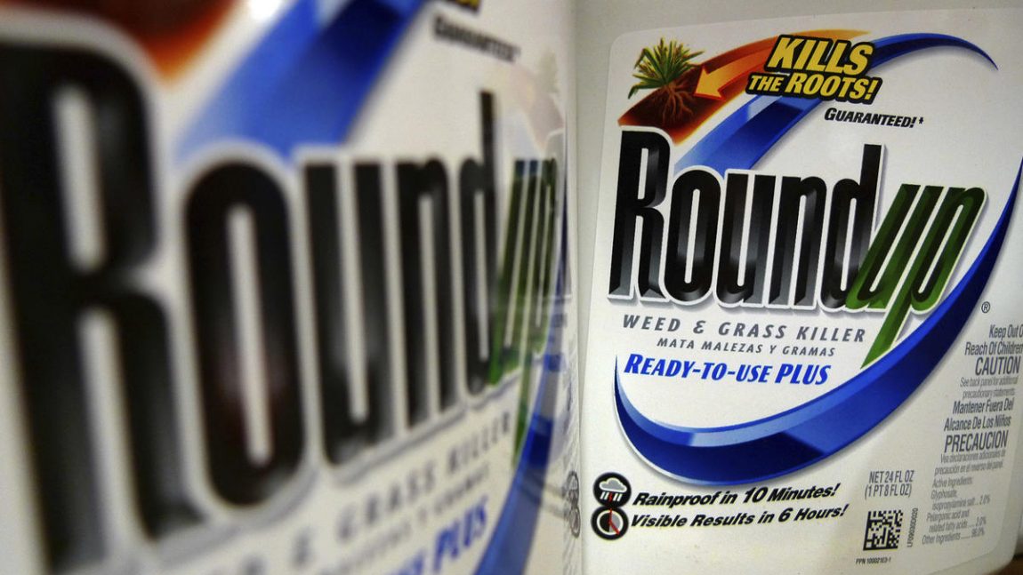 Bayer shares plunge in wake of Monsanto weed killer verdict